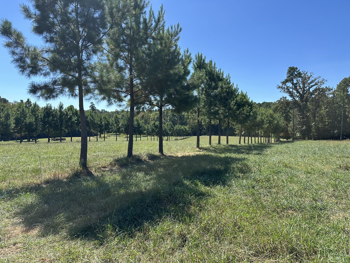 We are glad <a href="/godara_nav/">Navdeep Godara</a> joined <a href="/foragesncsu/">NC State Forage & Grassland Management</a> <a href="/CropAndSoil/">NC State Crop & Soil Sciences</a> <a href="/NCState/">NC State University</a> as a weed specialist for pastures. We have been visiting farms across NC. Today we visited Chapel Hill Creamery, a Jersey grazing dairy with silvopastures, and got to try an elixir of life “cheese”.