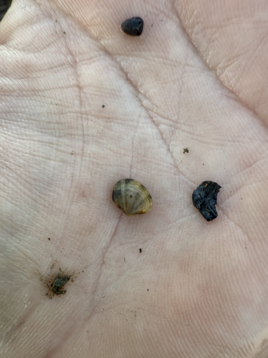 MIT Sea Grant tweet media