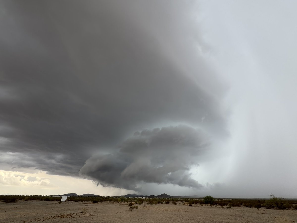 Approaching Salome #azwx