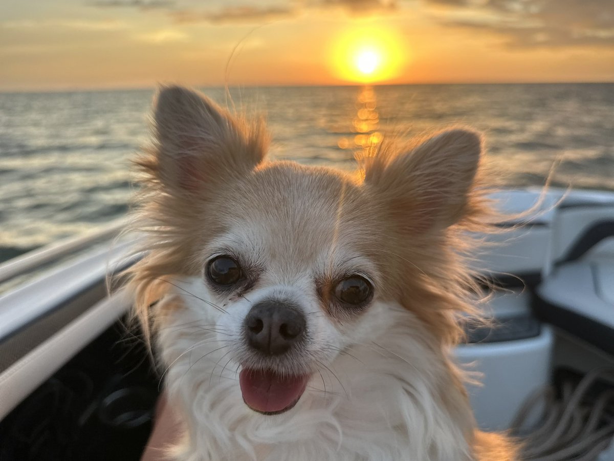 AnnaBanana tweet media