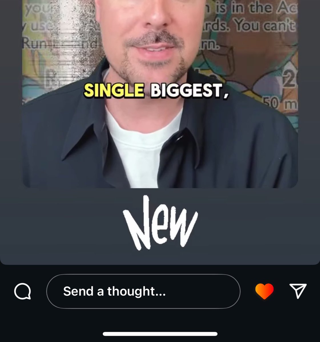 NotWallibear tweet media