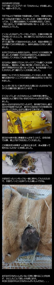 うめたろ🎮🐀🏃今年はチームで札幌行く! tweet media