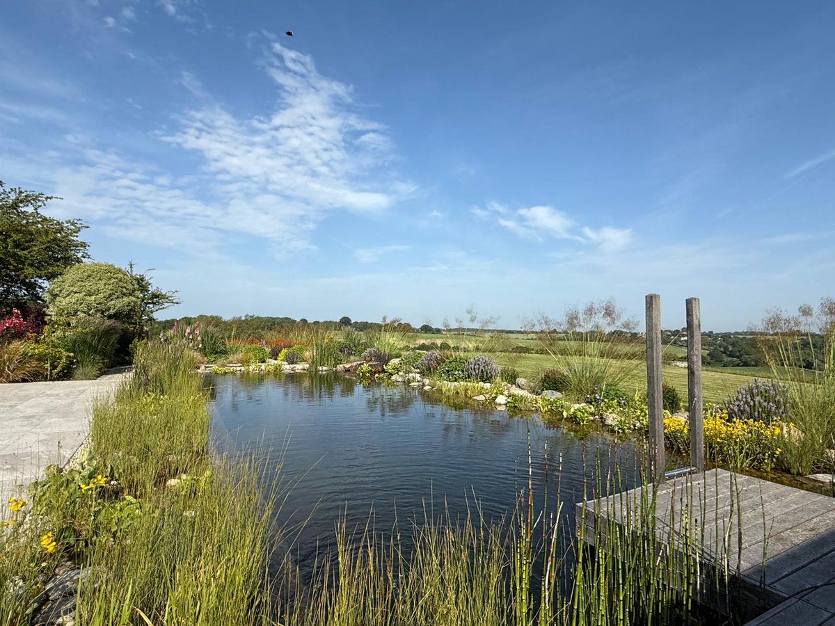 ✨ #ThrowbackThursday to this stunning hybrid natural swimming pond that flows seamlessly into the garden’s vibe. A true blend of beauty and tranquillity 🌿💧 If you’d love a paradise like this in your own garden, get in touch with us today!
#PondsByMichaelWheat