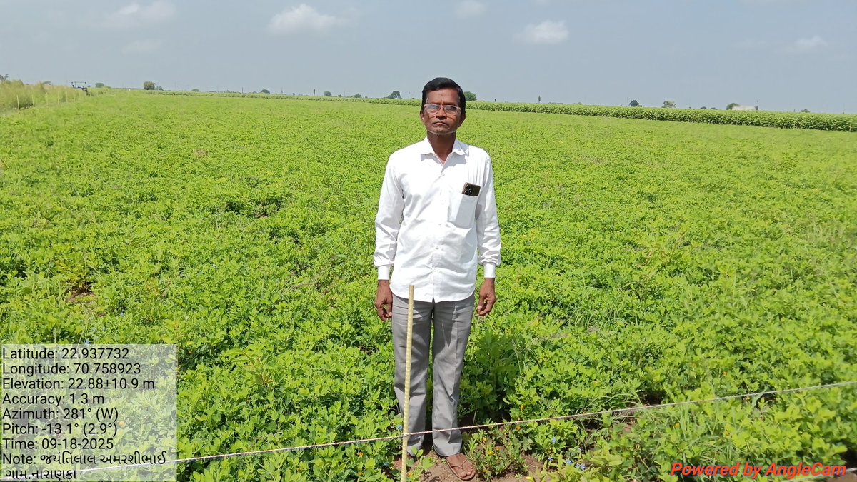 Alpeshsinh1424's tweet photo. આજરોજ નારણકા ગામે મગફળી ઓનલાઈન અરજી કરેલ સેટેલાઈટ કરેલ સવૅ કરવામાં આવેલ તેમાં મગફળી પાક વાવેતર નો જોવા મળેલ તેમાં આવેલ આજે સ્થળ પર મગફળી લેટ લોગ કેમેરા દ્વારા વેરીફીકેશન કરવામાં આવેલ. https://t.co/KWIQUSbuJl