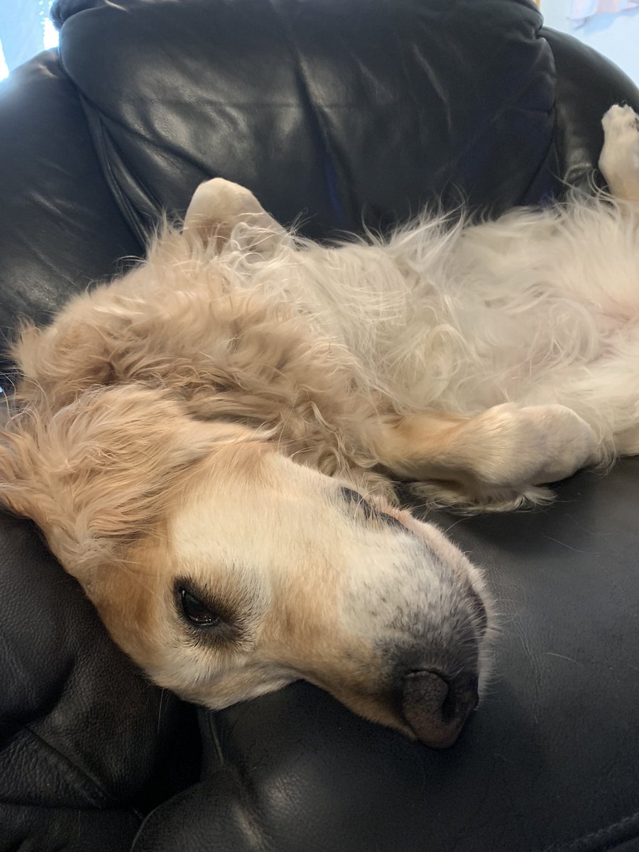 Robinxdd's tweet image. 