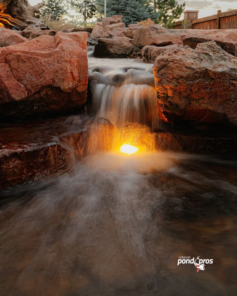 Colorado Pond Pros tweet media