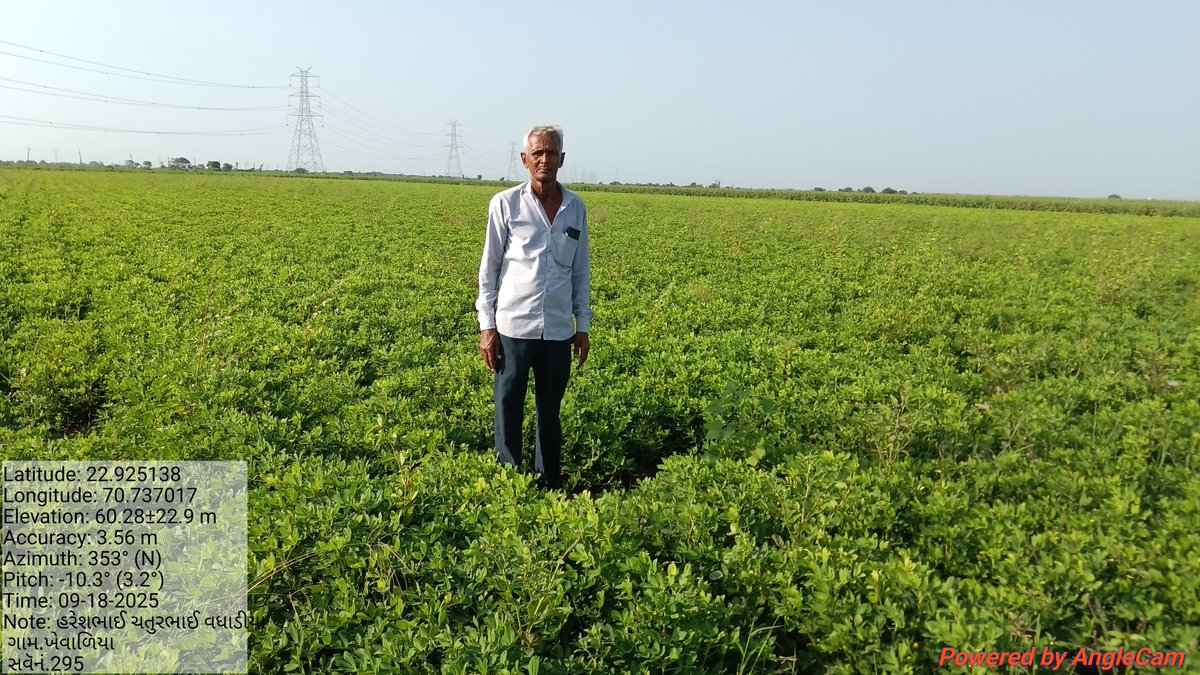 Alpeshsinh1424's tweet photo. આજ રોજ ખેવાળિયા ગામે મગફળી ઓનલાઈન અરજી કરેલ સેટેલાઈટ કરેલ સવૅ પાક અને સવૅ નંબર પાક જોવા મળેલ નથી લેગ લોટ કેમેરા દ્વારા વેરીફીકેશન કરવામાં આવેલ. https://t.co/8Qzue2bENb