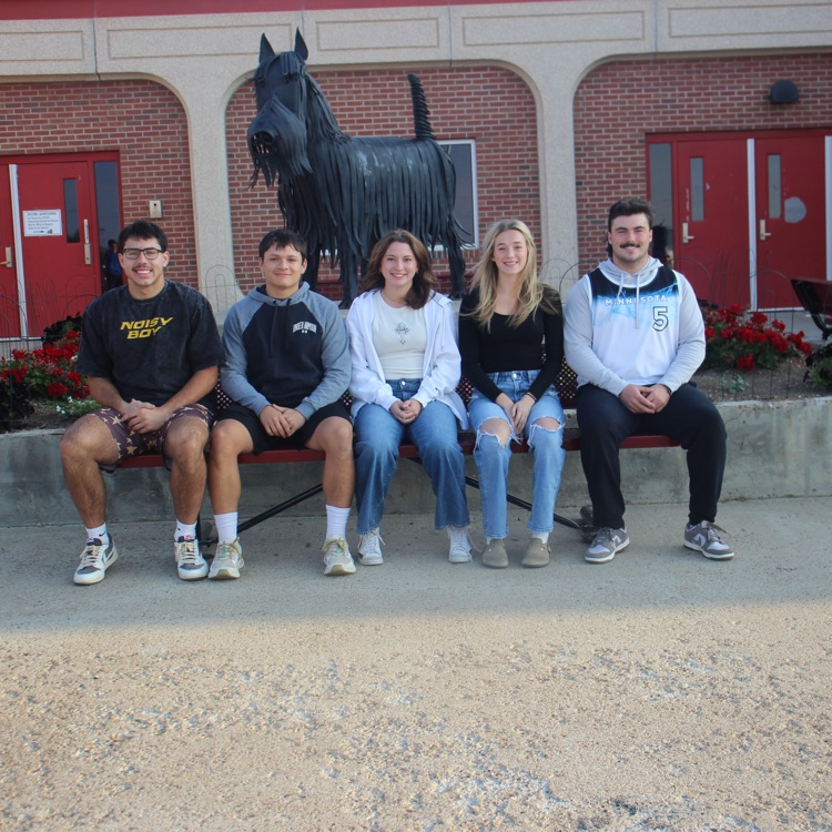 Glasgow Scotties tweet media