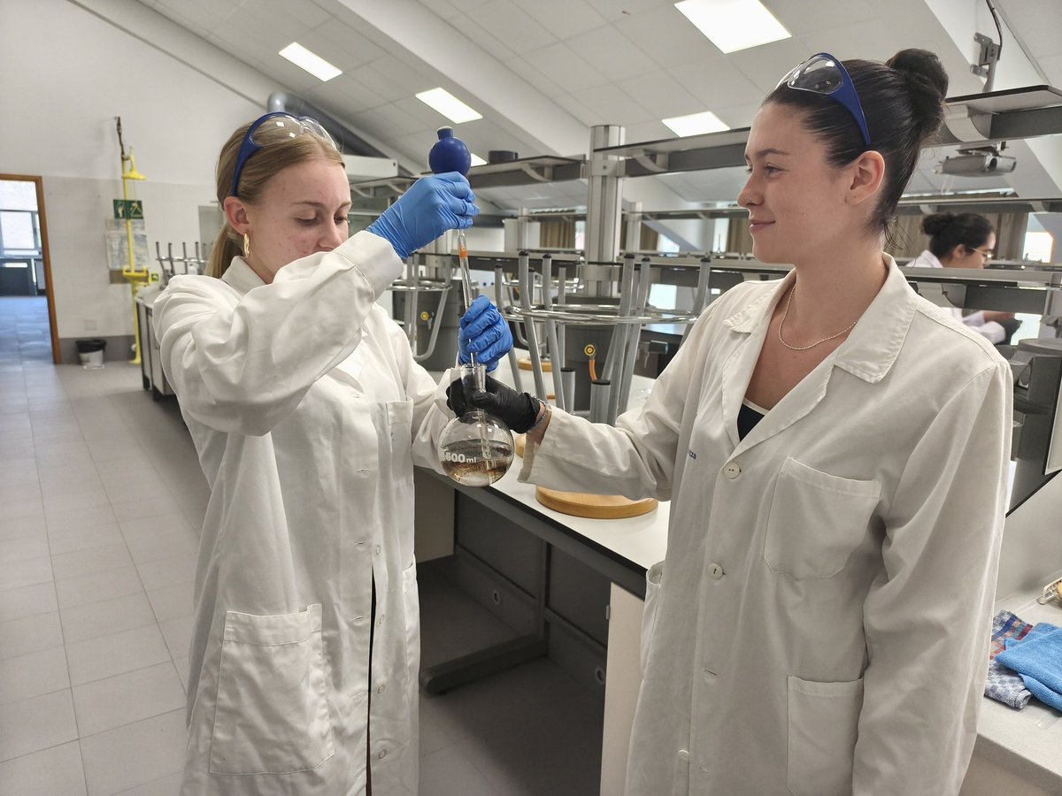 Laborategi teknikak. Aukera anitz ikasleentzat Lizardin