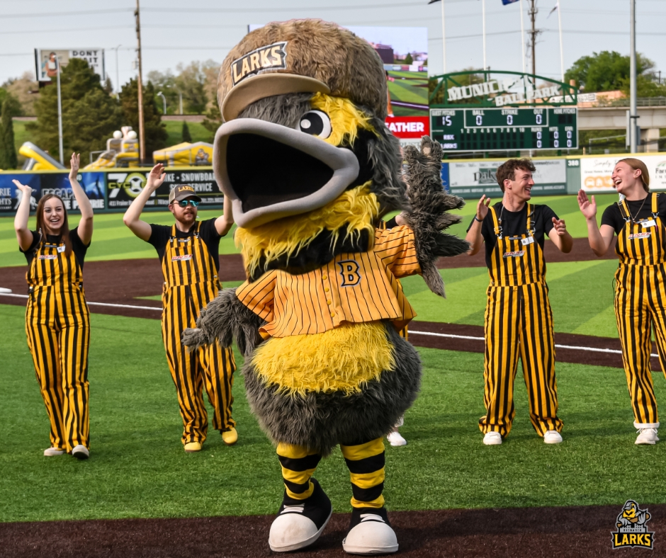 Bismarck Larks tweet media