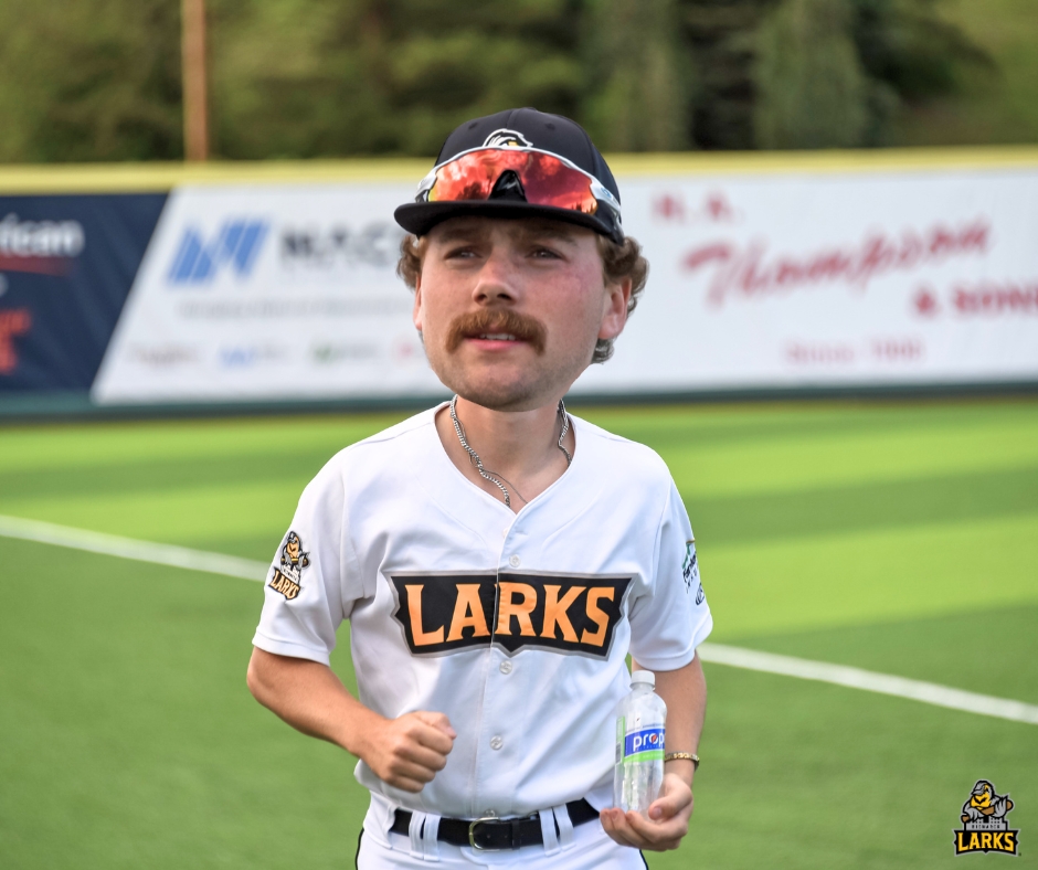 Bismarck Larks tweet media