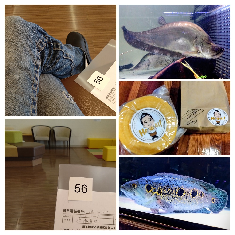 本日も皆さまのご来店に感謝申し上げます

昨日の悲惨な来店数と打って変わって賑やかさを取り戻した一日でした♪