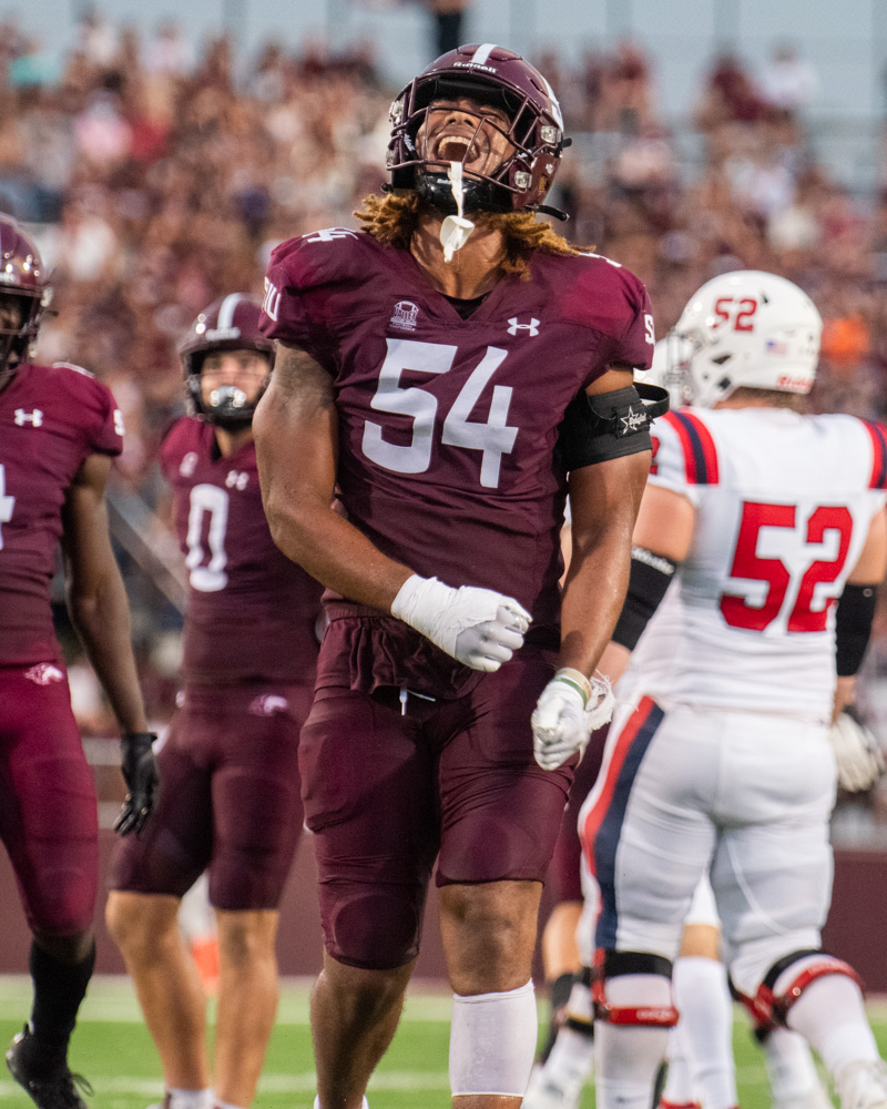 StrongDawgs tweet media