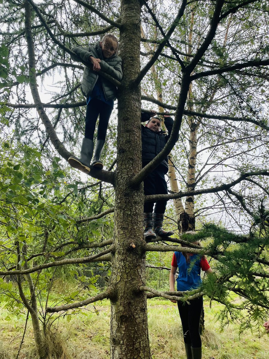AddiewellPS's tweet image. Our Skills Groups have been busy this week! One group enjoyed showing us some of their favourite spots (and their climbing skills!) and the other cooked up a storm at the fire pit! 🍕