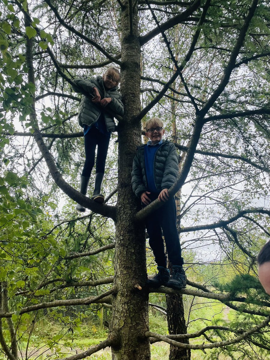 AddiewellPS's tweet image. Our Skills Groups have been busy this week! One group enjoyed showing us some of their favourite spots (and their climbing skills!) and the other cooked up a storm at the fire pit! 🍕