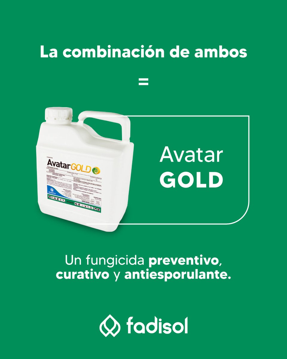 La diferencia está en la química.
👉 Avatar GOLD une lo mejor en un producto listo para proteger tu trigo, cebada y colza.

Cada aplicación es una inversión en rinde, sanidad y tranquilidad.

 Escribinos: 📲 095 67 60 74 | 📞 4576 2283