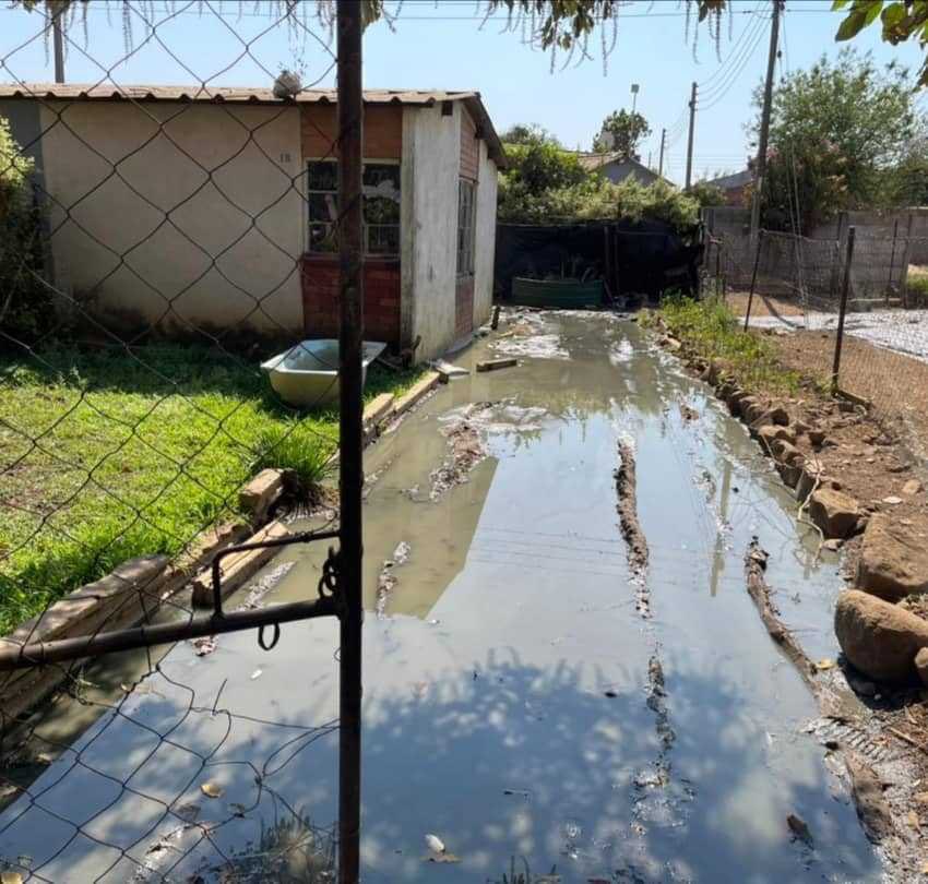 Outcry over Mufakose sewage floods

Residents of Mufakose are living in fear as raw sewage floods their yards, forcing some to abandon homes and raising serious health concerns over waterborne diseases like cholera and typhoid. 

Despite repeated complaints, the City of Harare