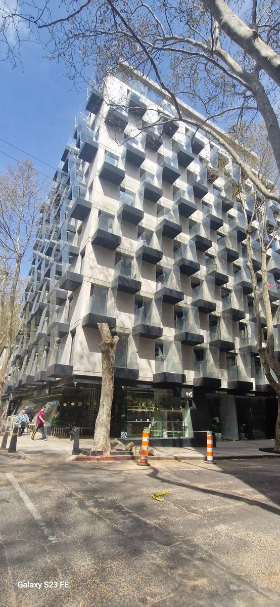 ElOjoChurrinche's tweet image. Le cortaron todo el Plátano pues tapaba toda su estructura y no dejaba pasar el sol