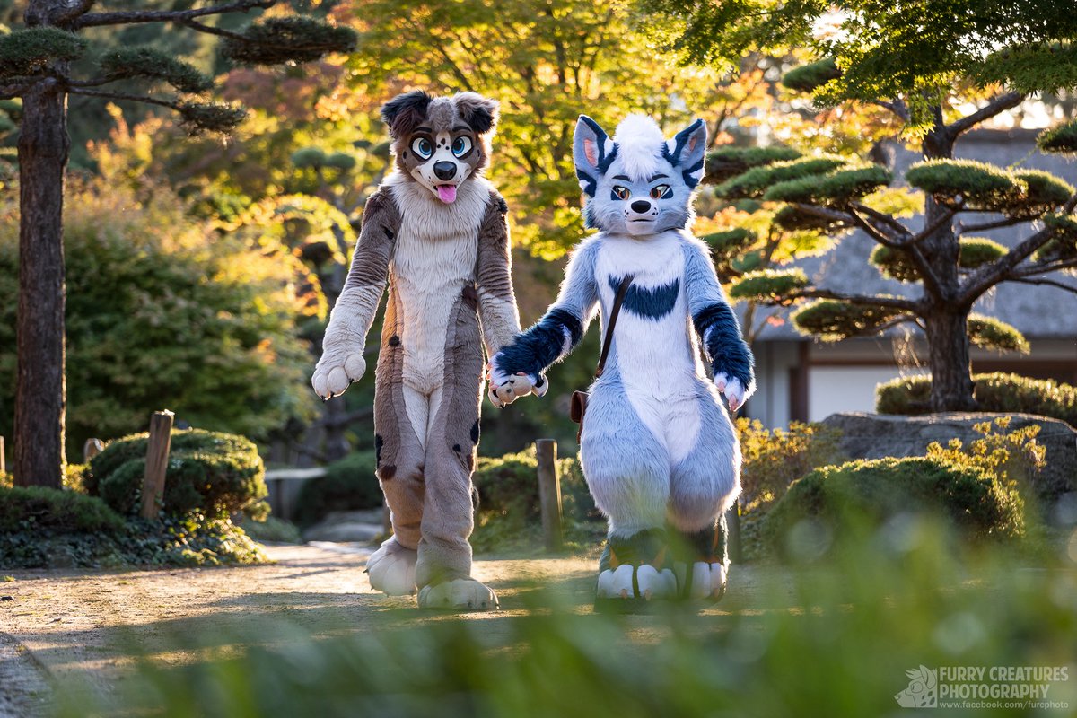 If you ever get lost, just ask a herding dog for guidance.

🦊 <a href="/DeerisLeGris/">LouisLeGris</a> 
📷 <a href="/FurCPhoto/">Furry C. Photo</a>