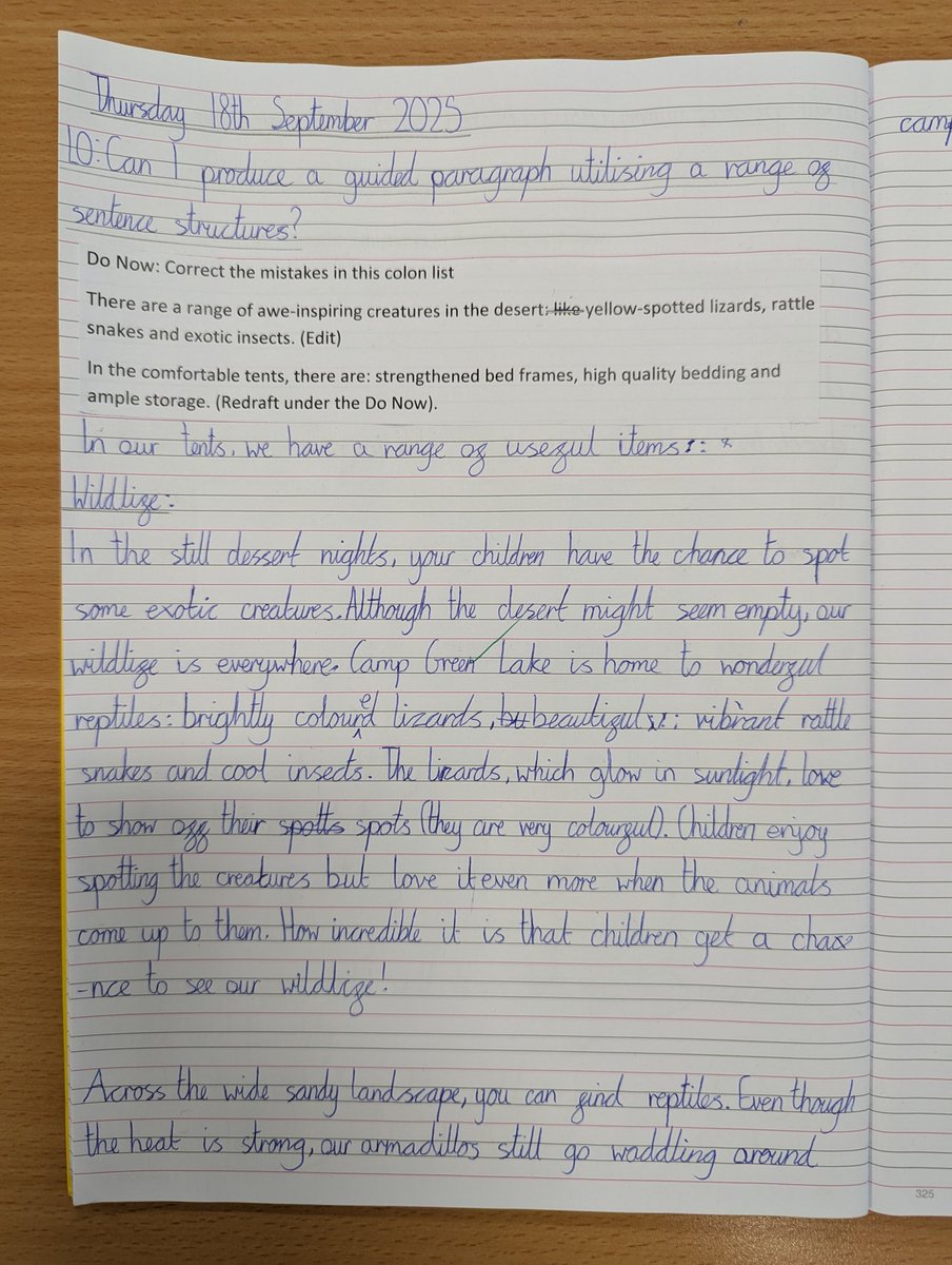 Year 6 have been working hard on their persuasive leaflets. Have they persuaded you to send your child to Camp Green Lake? #holes #stanleyyelnats