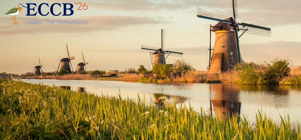 Siete pronti per ECCB 2026? 😍 A questo link eccb26leiden.eu sono disponibili le prime informazioni utili per partecipare al convegno europeo più importante sulla biologia della conservazione 😎 Cosa aspetti? Corri a darci uno sguardo! 🧐