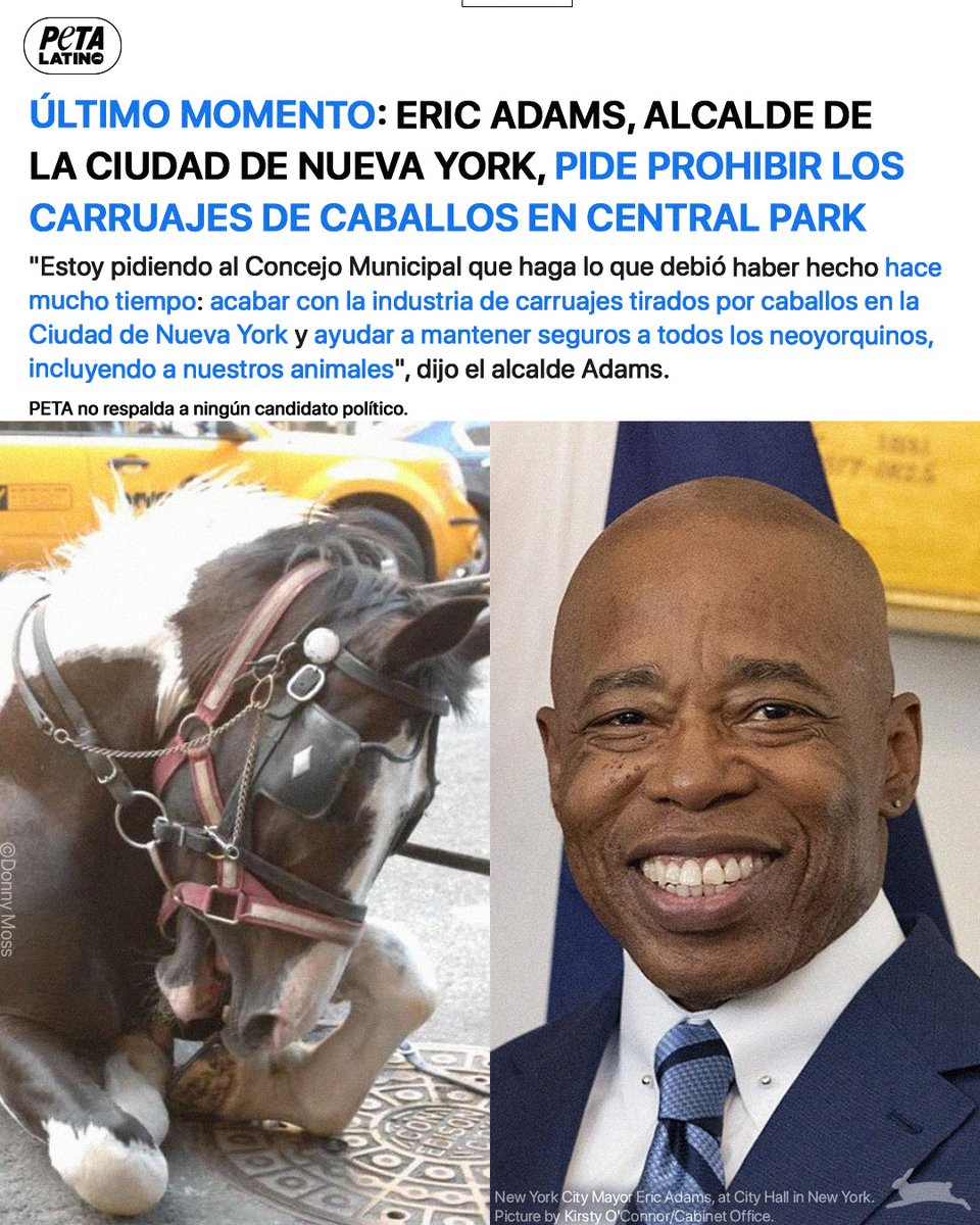 PETA Latino tweet media