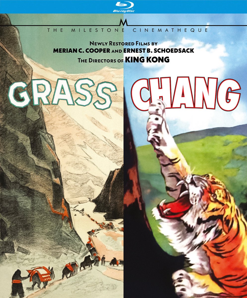 Disc-Connected (@disc_connected) on Twitter photo ***ANNOUNCEMENT***
Coming on November 18th on Blu-ray in the US from <a href="/MilestoneFilms/">Milestone FIlms</a> via <a href="/KinoLorber/">Kino Lorber</a> distribution: #GrassAndChang (1925/1927)!
In 1924, filmmakers Merian C. Cooper and Ernest B. Schoedsack (King Kong) linked up with journalist and part- time spy Marguerite ***ANNOUNCEMENT***
Coming on November 18th on Blu-ray in the US from <a href="/MilestoneFilms/">Milestone FIlms</a> via <a href="/KinoLorber/">Kino Lorber</a> distribution: #GrassAndChang (1925/1927)!
In 1924, filmmakers Merian C. Cooper and Ernest B. Schoedsack (King Kong) linked up with journalist and part- time spy Marguerite