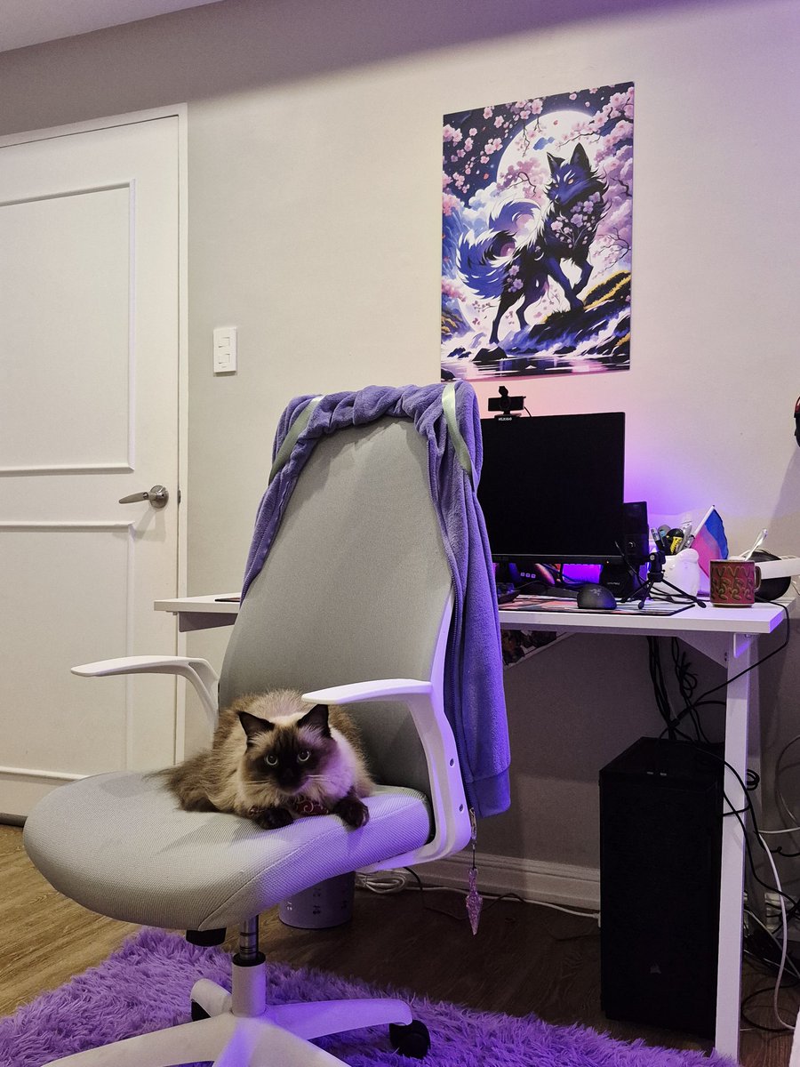 Stolasdarling's tweet photo. Kitty decided to get comfy and has now replaced me as a certified gaymer... Rate my setup! 💜

#gaymers #gamingsetup #furry #CatsOnX #purple #aesthetics https://t.co/Rr9Et0KkOz