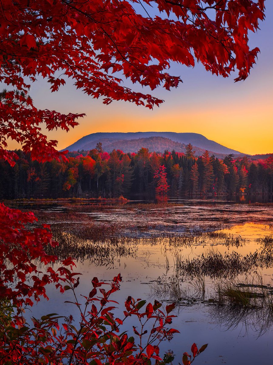 Beautiful evening 💫 🍁