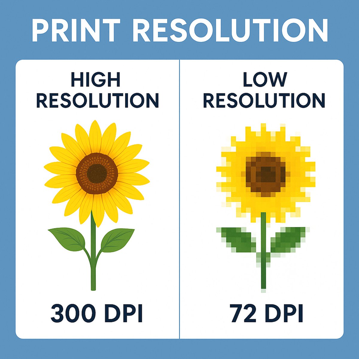 DoTradeshow's tweet photo. Not sure if your artwork is print-ready? 🎨📷Our quick video breaks down print resolution on your trade show displays. 📷https://t.co/sZxJlwtHnU https://t.co/e4TXB9zHgZ