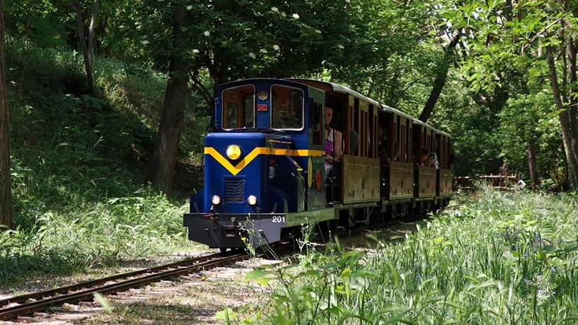 🚂 Una de les activitats familiars per excel·lència de #Sabadell! Cada diumenge!

✅Passejos amb el Trenet del Parc Catalunya
🗓️ Diumenges i festius
📍Ferrocarril del Parc Catalunya   
➕ Info a l'agenda del <a href="/PetitSabadell/">Petit Sabadell</a>: 
f.mtr.cool/ahmufrqnys