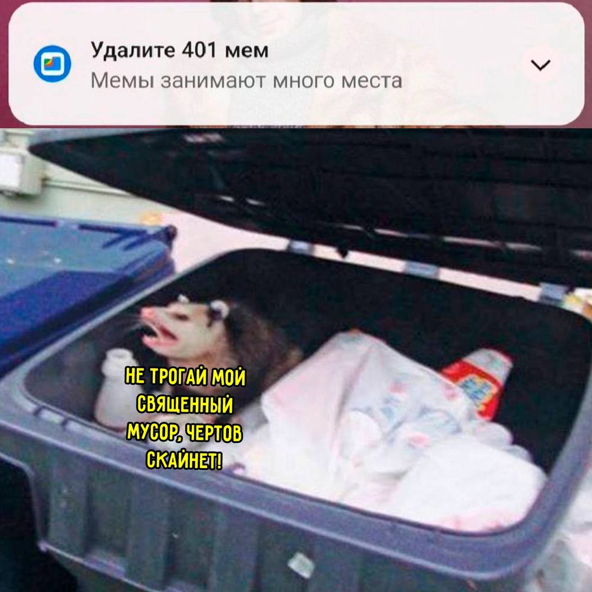 Gribanov ☢ ᓚᘏᗢ (@gribanov) on Twitter photo 