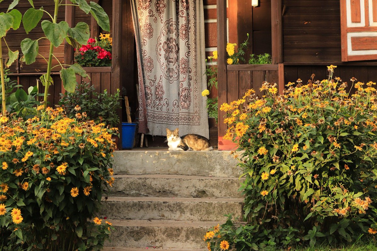 Zwierzyniec na Podlasiu...