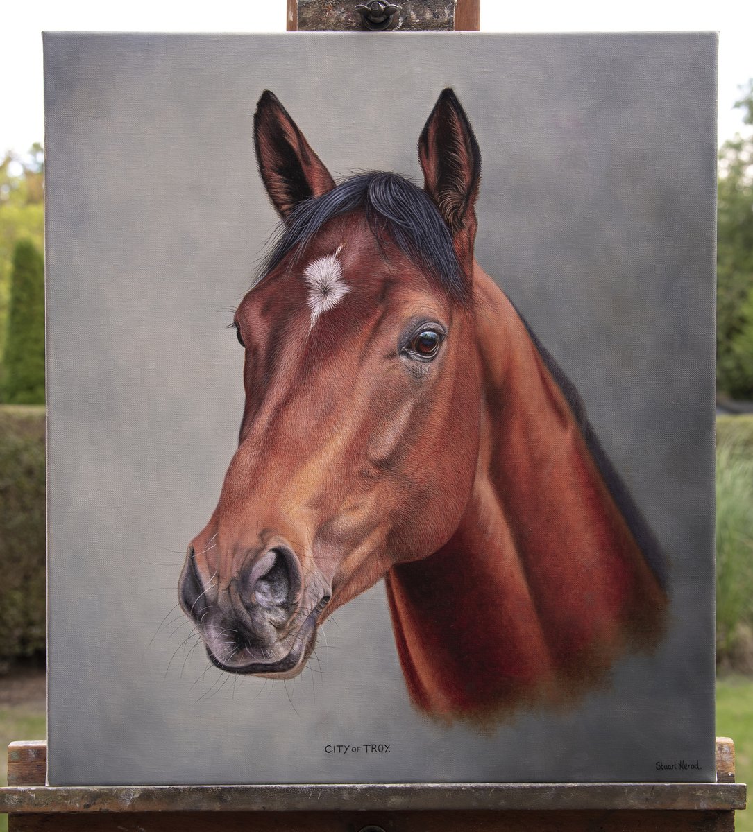 StuartHerod's tweet photo. Recently completed portrait of Coolmore stallion, City of Troy. Co-highest rated racehorse of 2024.
Oil on canvas 16 x 18 inches.
Thanks for viewing.
#CityofTroy #Coolmore #HorseRacing https://t.co/gBeGFjPAzF