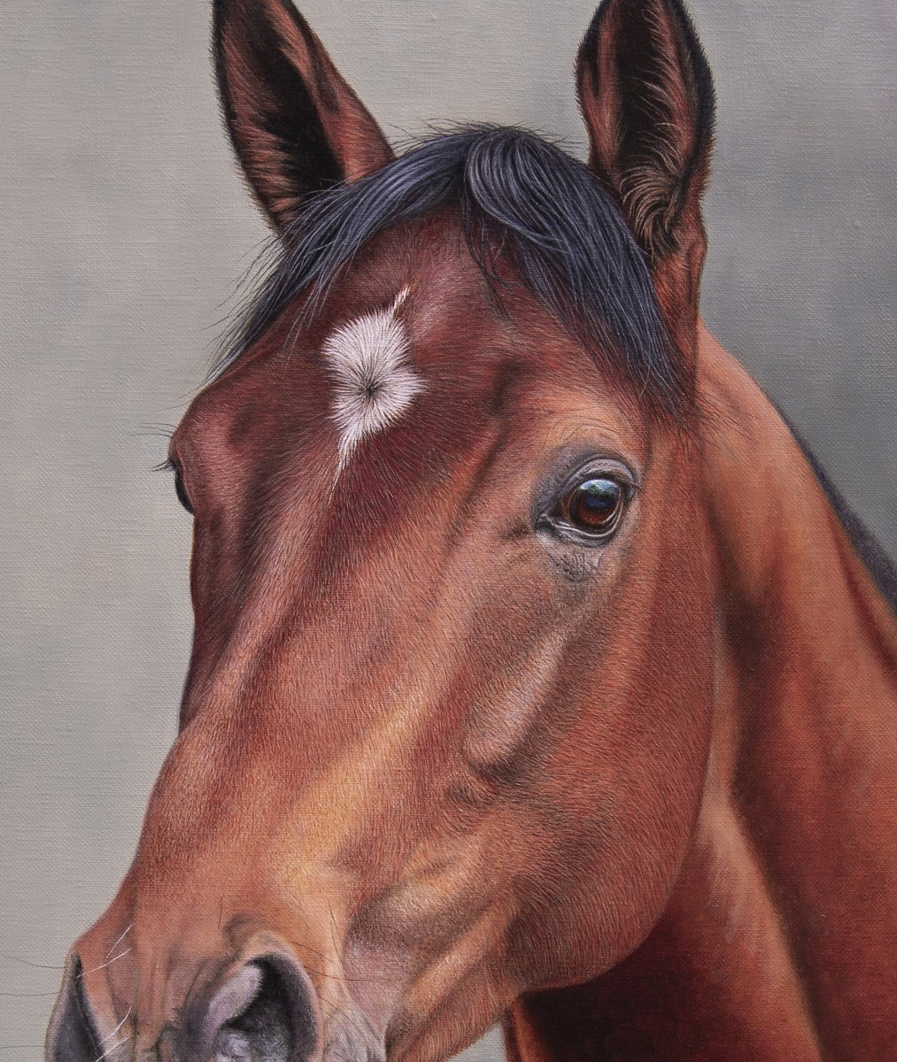 StuartHerod's tweet photo. Recently completed portrait of Coolmore stallion, City of Troy. Co-highest rated racehorse of 2024.
Oil on canvas 16 x 18 inches.
Thanks for viewing.
#CityofTroy #Coolmore #HorseRacing https://t.co/gBeGFjPAzF