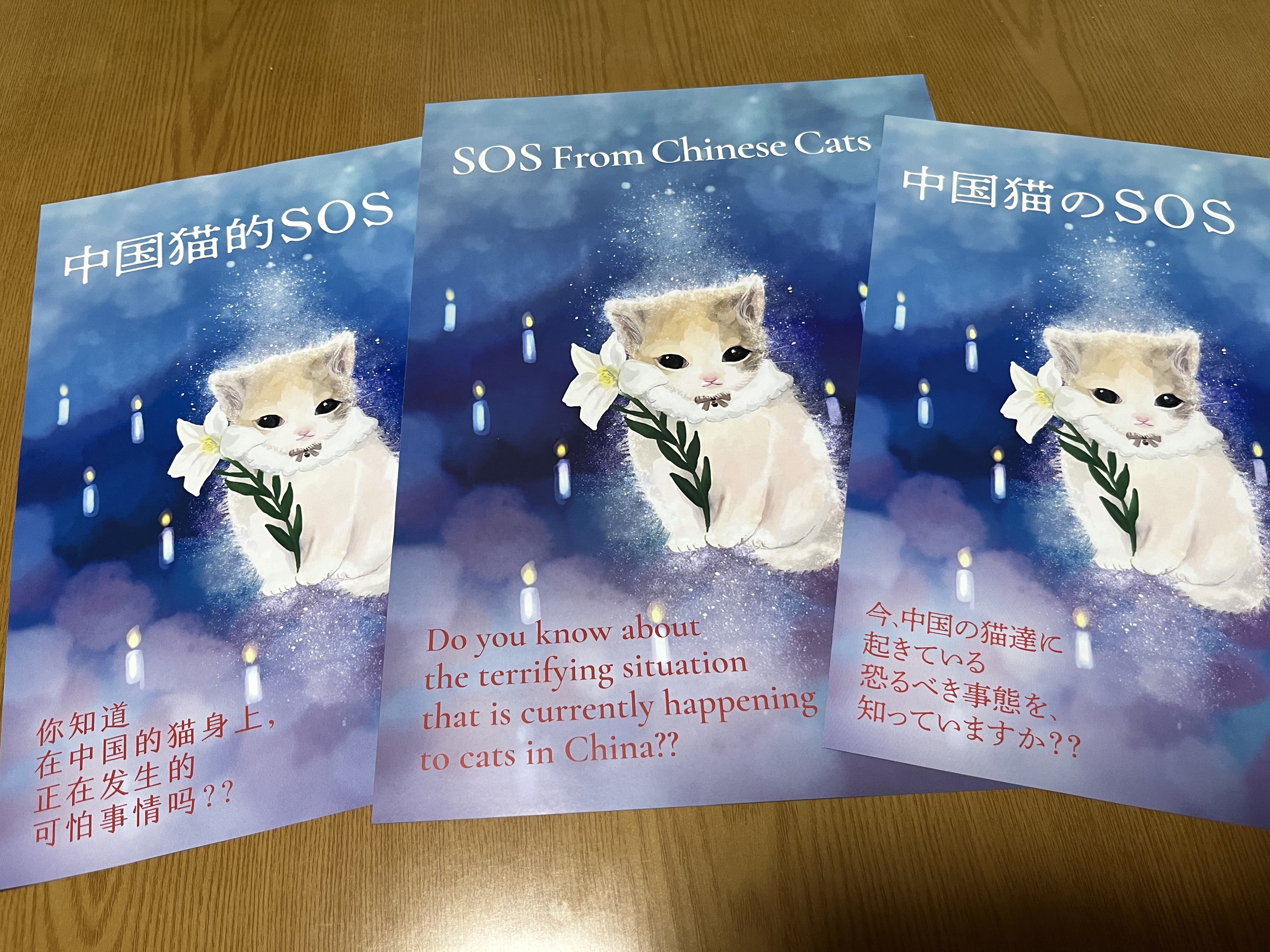 【裁断済】犬と猫の品種好発性疾患 第2版 Amazon.co.jp: 犬と猫の品種好発性疾患 : 本