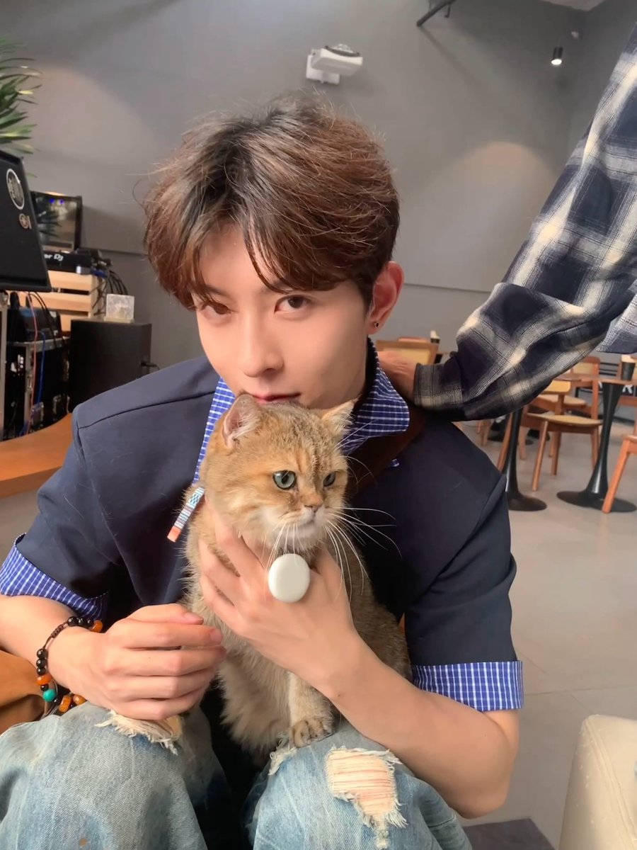 Any2an's tweet photo. วันนี้มาหาน้องแมวตัวที่ชิวชิวอุ้ม น้องน่ารักมากกกก >< พิกัด On air cafe เซี่ยงไฮ้จ้า  ตามรอย พส จีนมา สู้ชีวิตมากกก ปล น้องตัวใหญ่นะ ตอนพี่ชิวอุ้มน้องตัวนิดเดียว55555 #XingQiu #ซิงชิว #ชิวติ่งเจี๋ย #KipukaQiu https://t.co/CepnMEGdRX