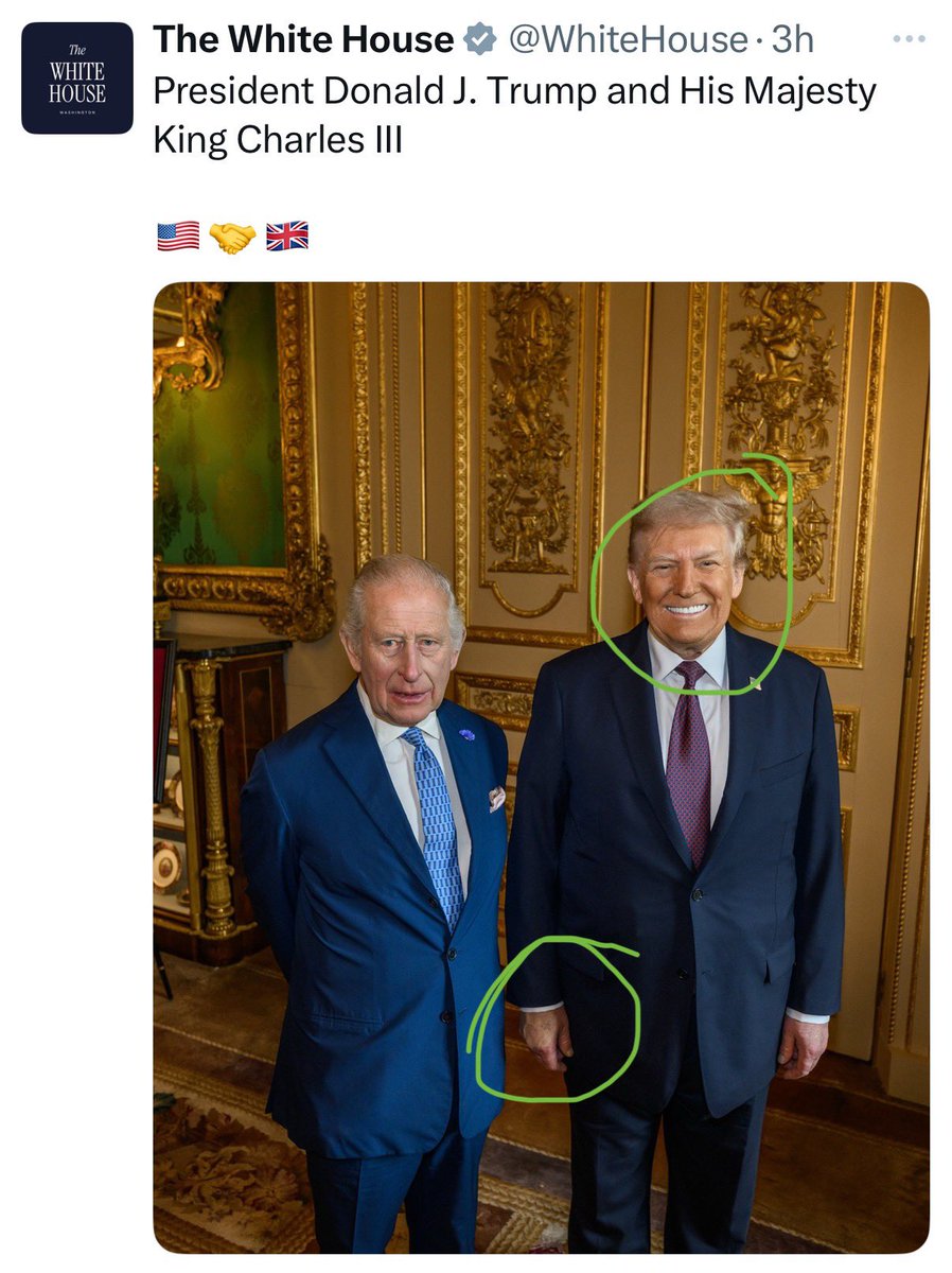 Natasha Chandel tweet media