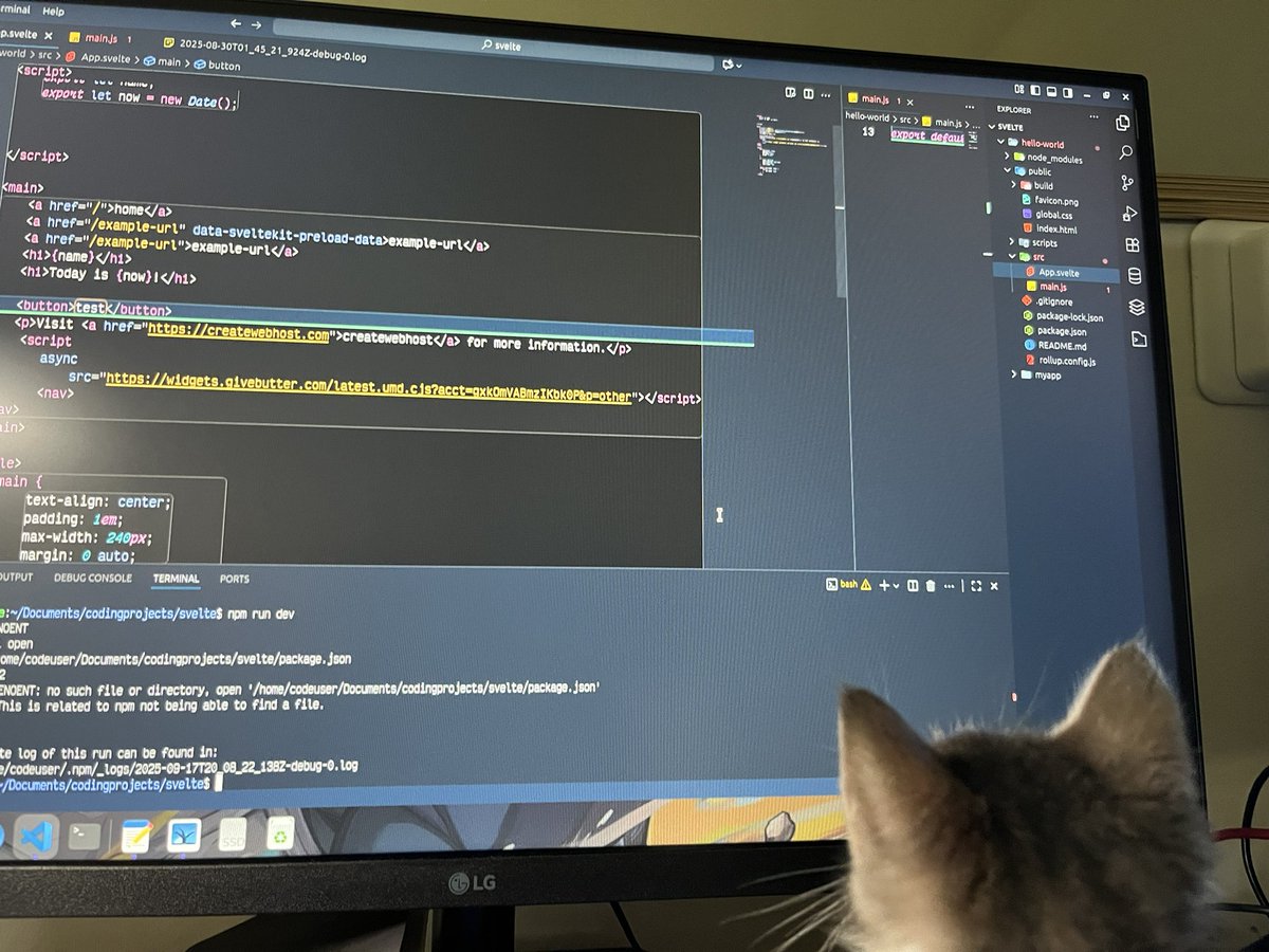Figuring it out. lol with Lil Widget  she helps out lol.