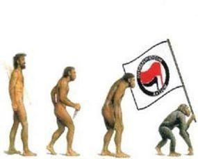 ExpandedGalaxy's tweet photo. The evolution
#BreakingNews‌ https://t.co/DxRfRkgYme