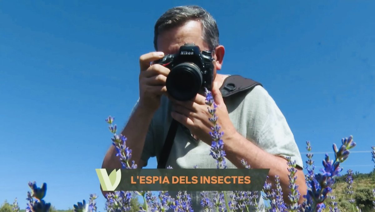 codeposa's tweet image. “L’espia dels insectes”, un reportatge de La Via Verda d’À Punt enregistrat per un càmera de Comunicacions dels Ports. El pots veure sencer fent clic a l’enllaç!
🐛
▸ apuntmedia.es/programes/la-v…
