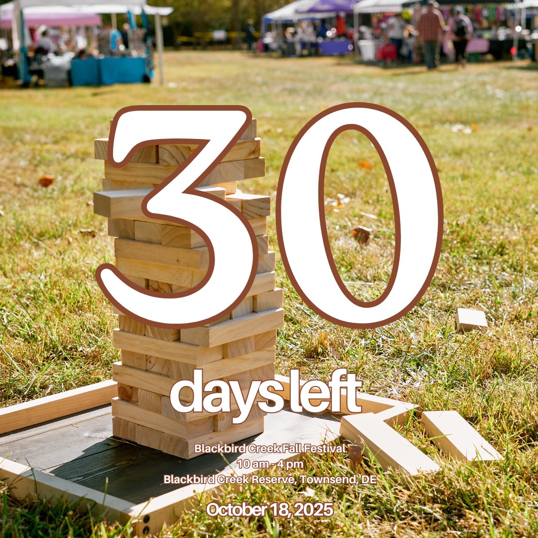 There is one more month left until the Blackbird Creek Fall Festival! Visit the Blackbird Creek Reserve on October 18th to see all the fun there is to offer. One of the most underrated activities of the day is playing yard games with family and friends as the music plays nearby!