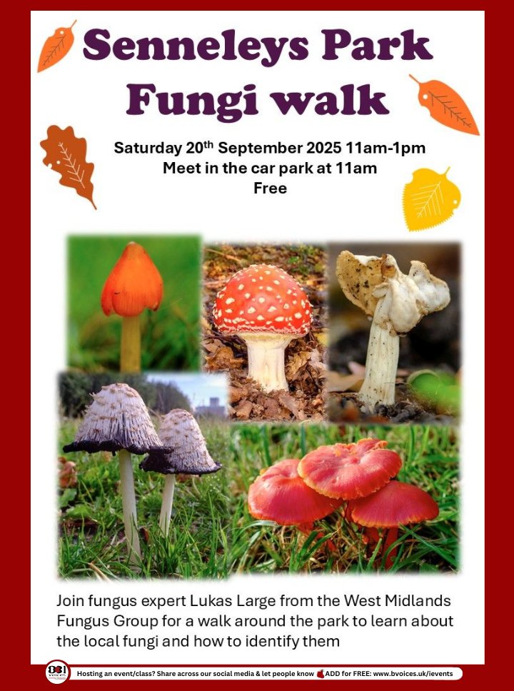 B31Voices's tweet photo. #SWBrumEVENTS - Senneleys Park Fungi Walk ๐
INFO: https://t.co/ReK3YrFYaQ
๐
Sat 20th Sept
๐ 11am - 1pm
๐ Senneleys Park - #BartleyGreen
๐ท FREE
โน๏ธ Join fungus expert for a walk around the park to learn about the local fungi & how to identify them
_
#Fungi
#Birmingham https://t.co/YSPOMxWv0Q