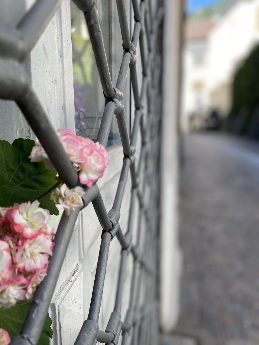 Sonia Zuccaro tweet media