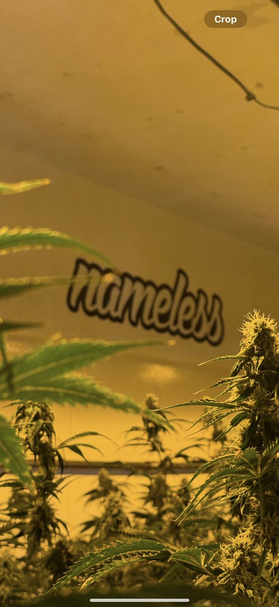 Good Morning ☀️ 🏆