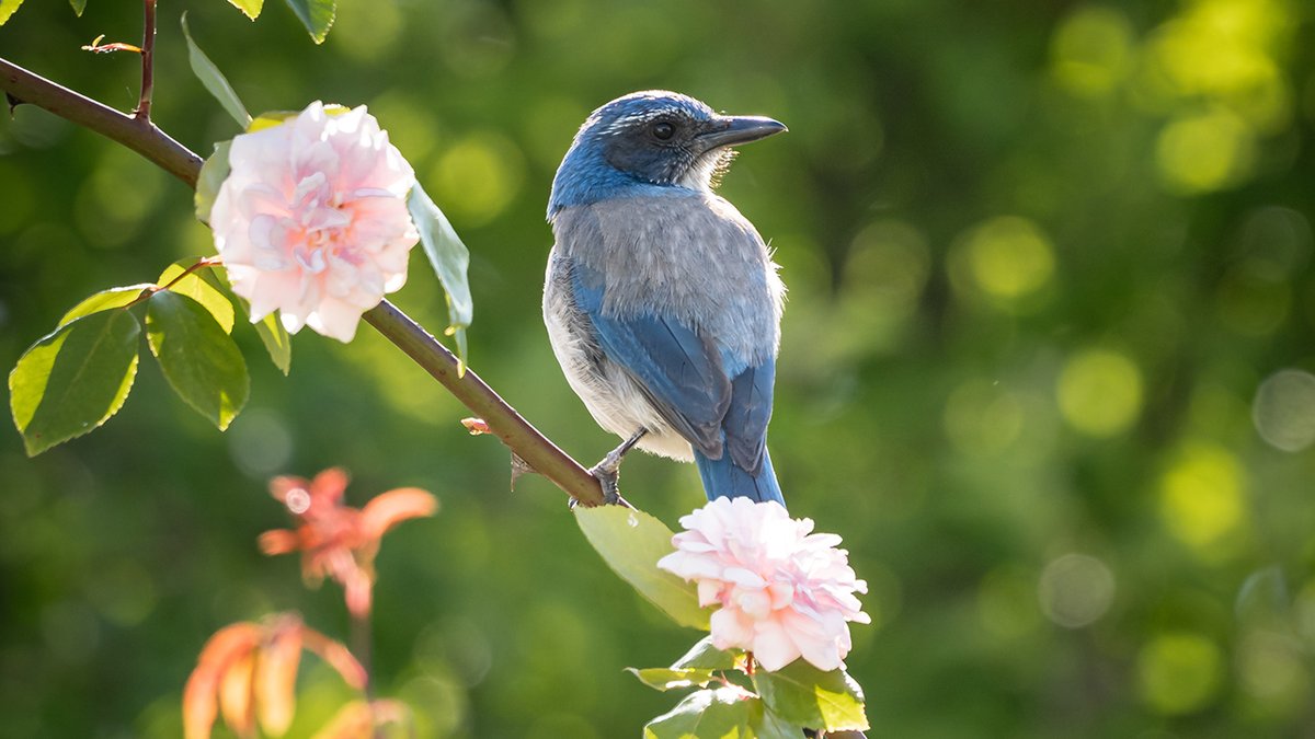The #Alzheimers journey is naturally filled with frustration, pain, and confusion. That's whey we work to create moments of joy. We know those moments don't come easily. 
mailchi.mp/songsandsmiles…