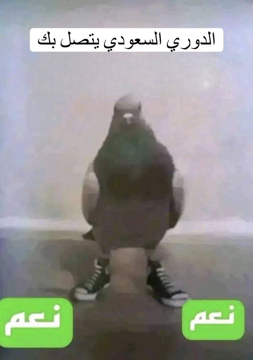 يسُرني ان اعلن لكم انضمامي الى طاقم مواهب الدوري السعودي الميجور الثالث للعبة روكت ليق و لله الحمد🤍 

 يُشرفني العمل مع قامات اعلامية كبيرة في المجال كذلك يُشرفني العمل في احد اكبر المحافل التنافسية في المملكة العربية السعودية💚 

 اوجه جزيل الشكر لكل من دعمني لانكم سبب وصولي