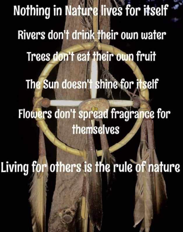 AmericanIndian8's tweet photo. #INDIGENOUS #TAIRP https://t.co/I5hMDfFS72
