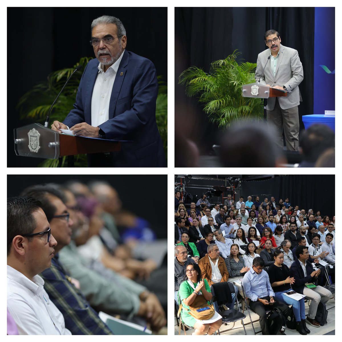 Universidad Veracruzana tweet media