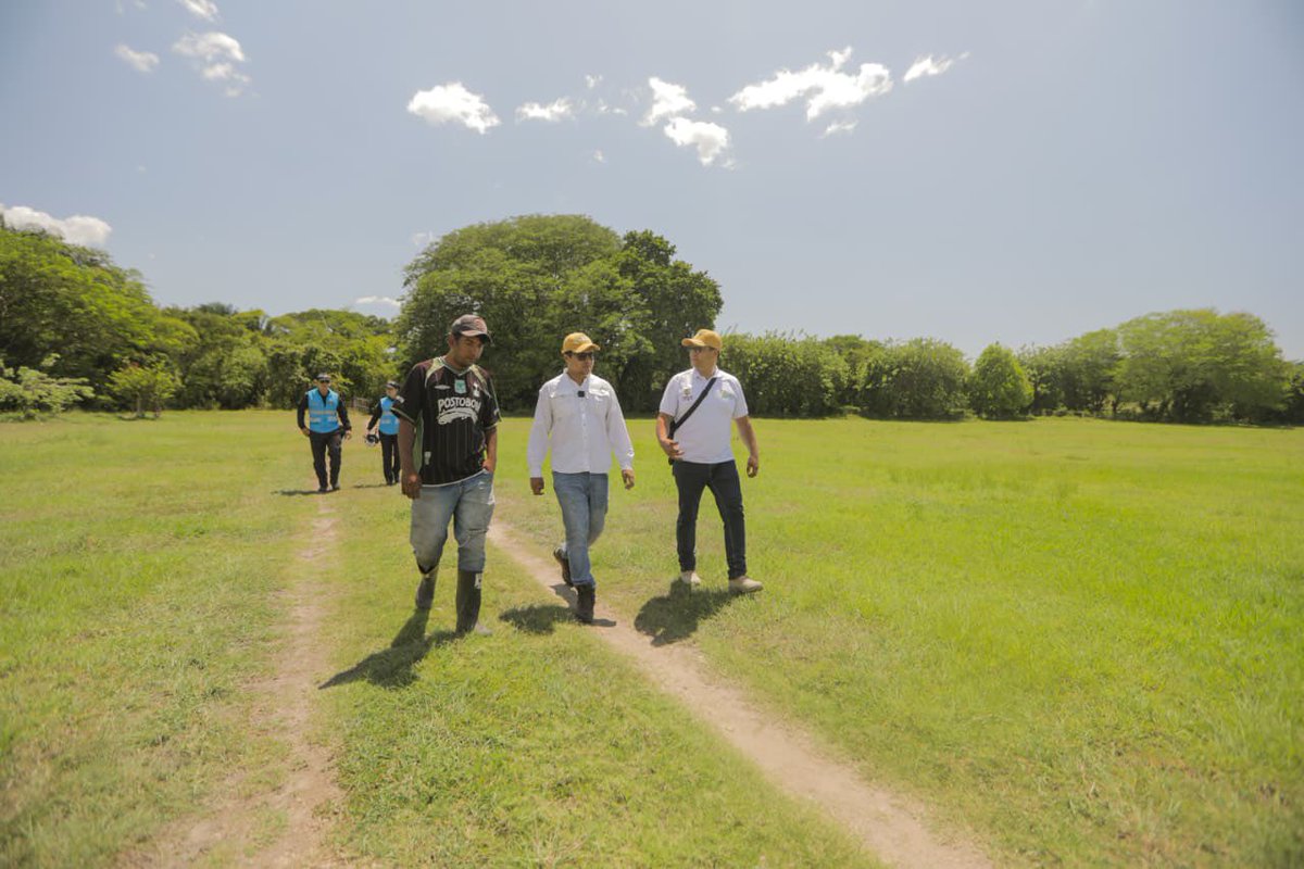 SebastianR38101's tweet photo. En La Dorada, Caldas, fueron 712 hectáreas las que pasaron de ser territorio de la ilegalidad, del narcotráfico y centro de operaciones para la droga, a convertirse en tierras campesinas destinadas a la producción y la vida digna. 💚🌾🌱 #ConDignidadCumplimos https://t.co/x5XnrUMV27